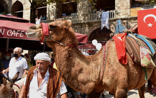 2021 Hanlar Bölgesi ve İpek Yılı kapsamında Koza Han etkinliği
