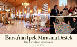 Bursa’nın İpek Mirasına Destek — 2023 Bursa İpeği Sempozyumu, Silkworm