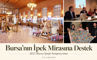 Bursa’nın İpek Mirasına Destek — 2023 Bursa İpeği Sempozyumu, Silkworm