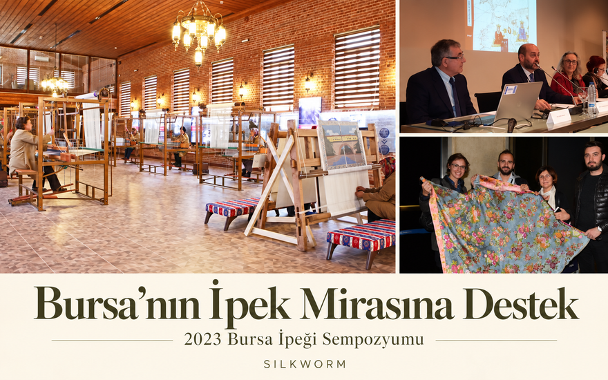 Bursa’nın İpek Mirasına Destek — 2023 Bursa İpeği Sempozyumu, Silkworm